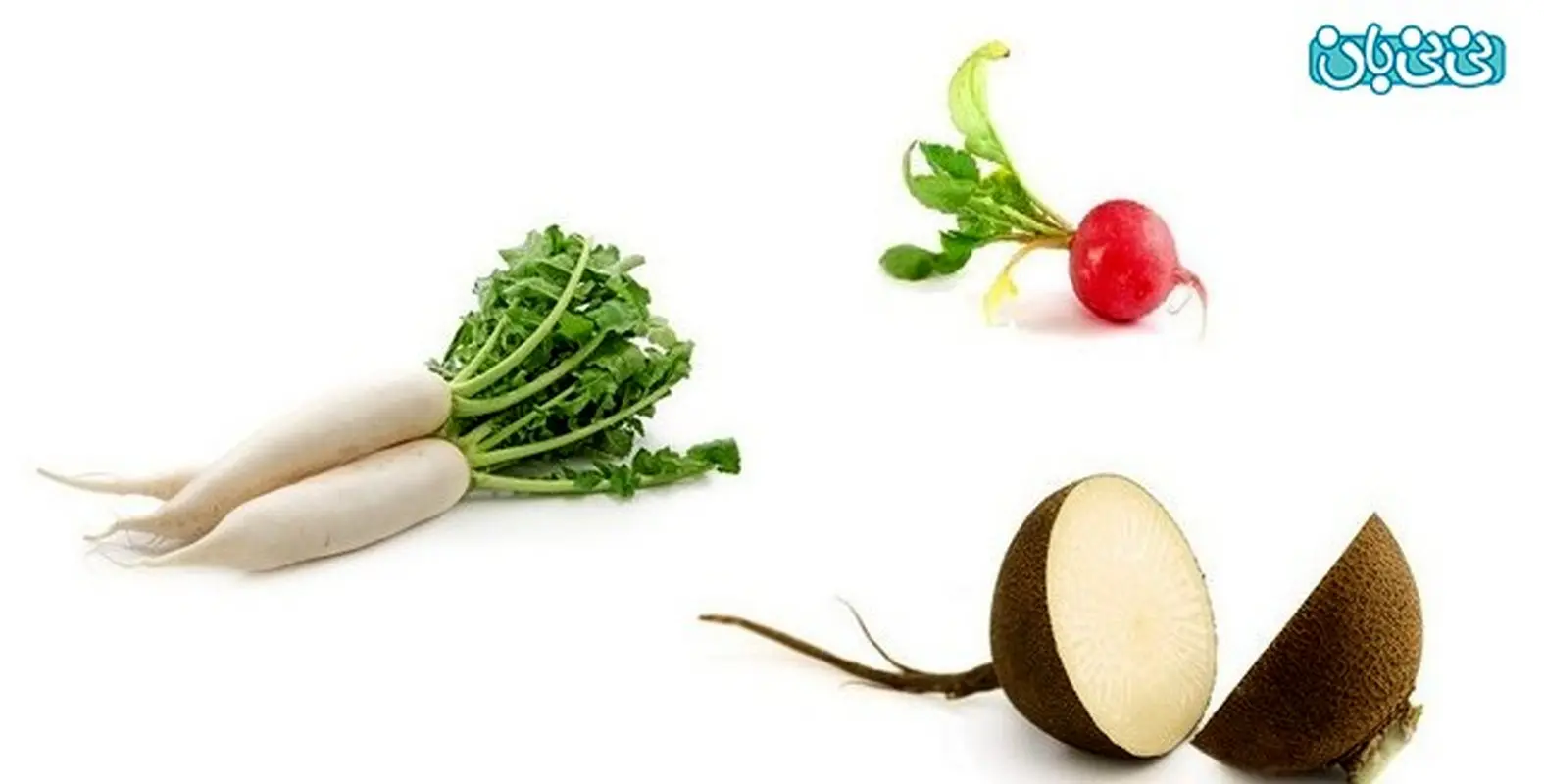 گیاه ضد سنگ کلیه، از خواص دارویی ترب نگذرید