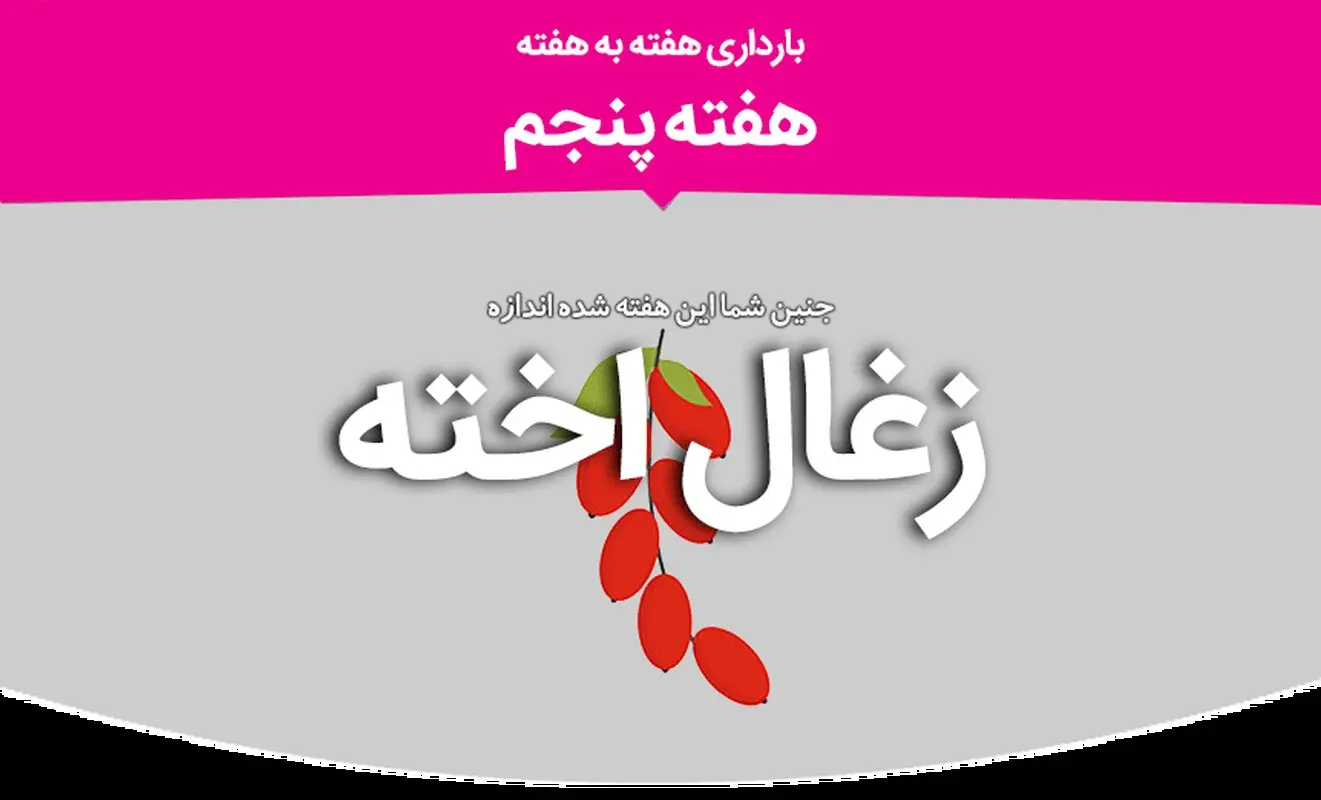 هفته پنجم بارداری، علائم و مراقبت‌های لازم