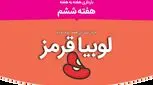 هفته ششم بارداری، علائم و وضعیت مادر و جنین