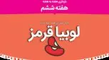هفته ششم بارداری، علائم و وضعیت مادر و جنین