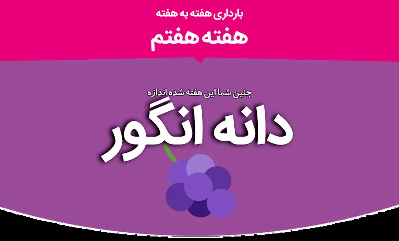 هفته هفتم بارداری