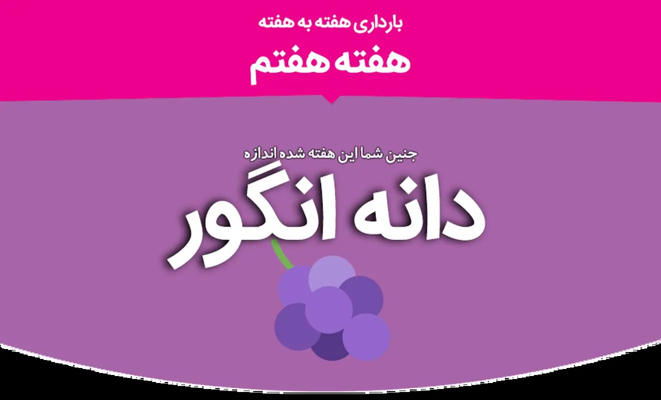 هفته هفتم بارداری
