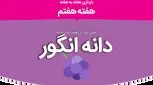 هفته هفتم بارداری