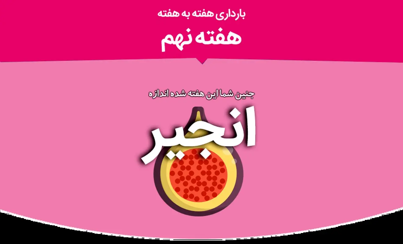 هفته نهم بارداری