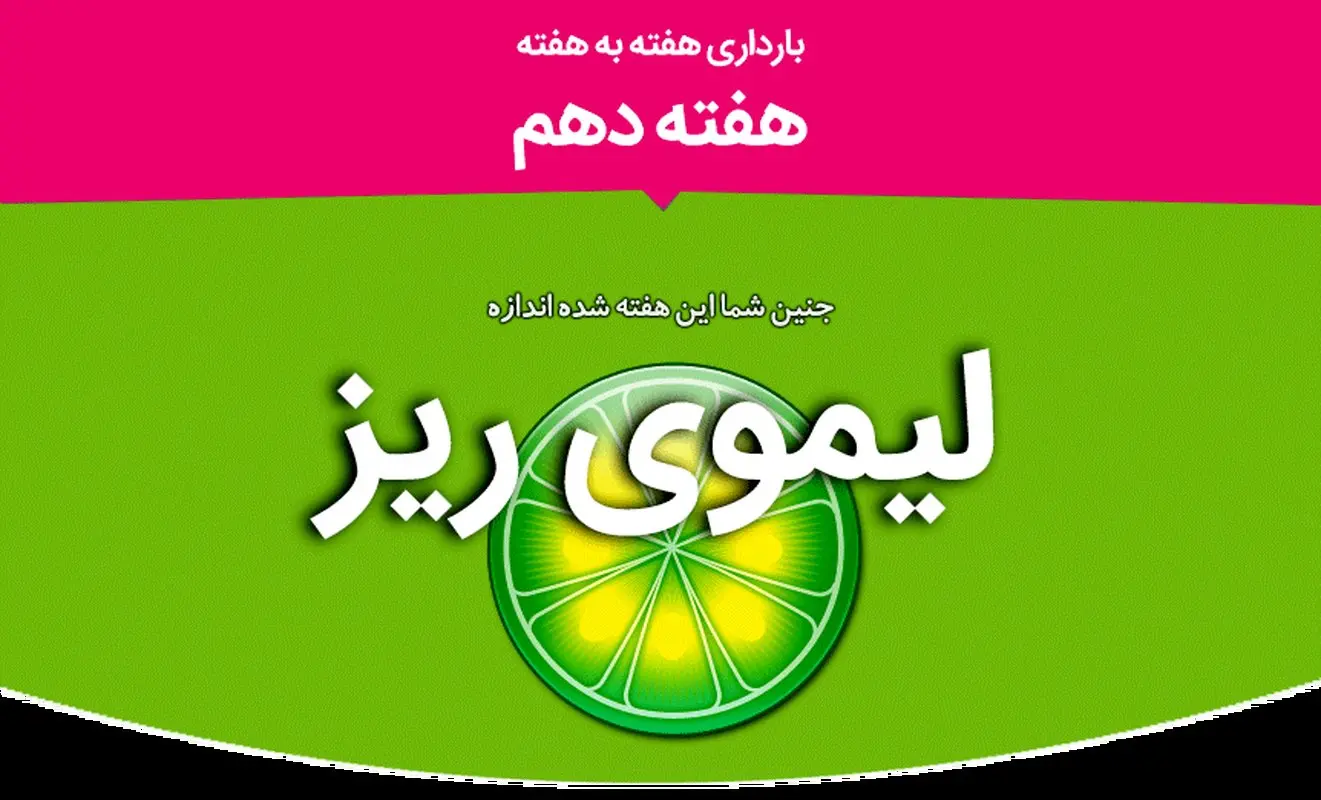 هفته دهم بارداری