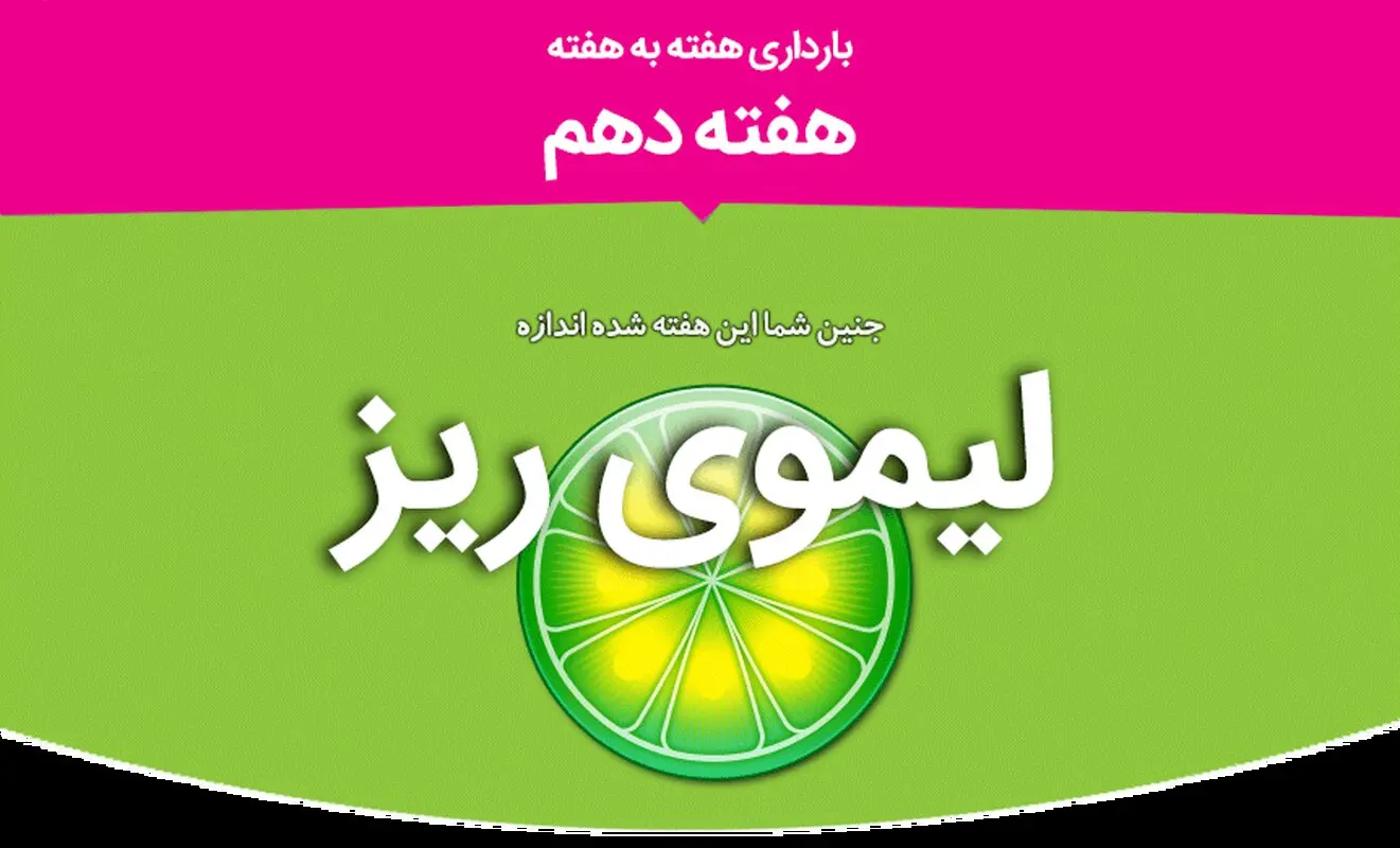 هفته دهم بارداری