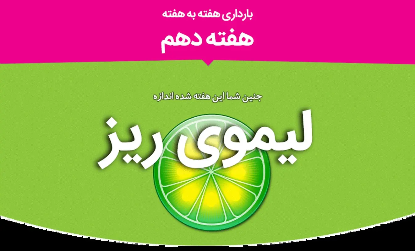 هفته دهم بارداری