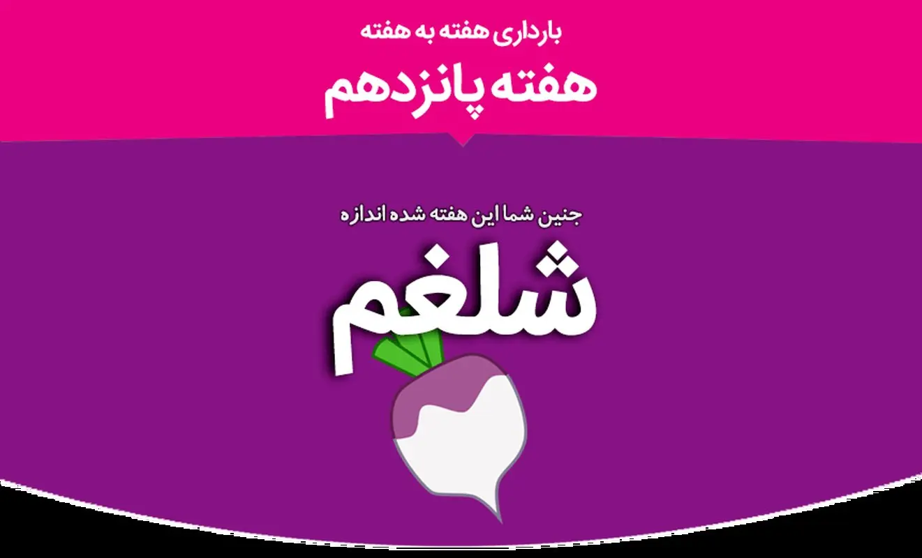 هفته پانزدهم بارداری؛ تغییرات شما و جنینتان