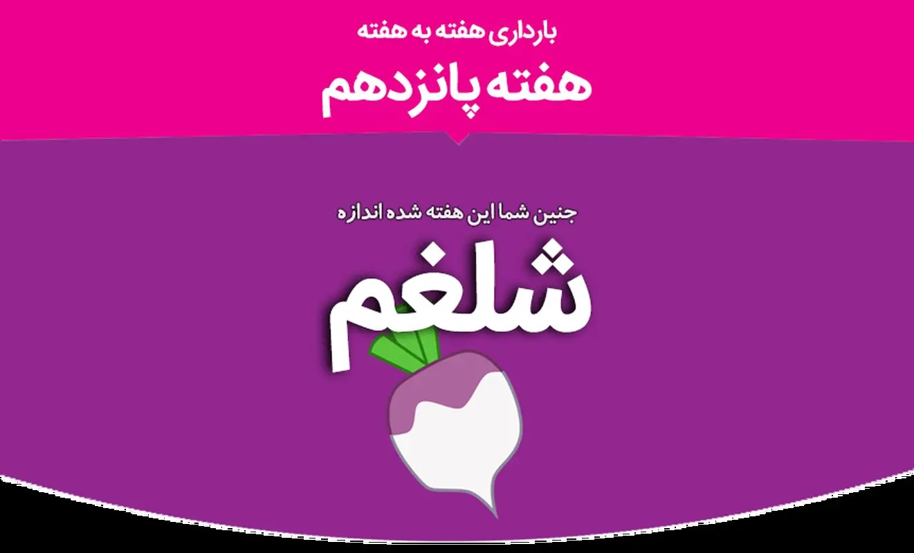 هفته پانزدهم بارداری؛ تغییرات شما و جنینتان