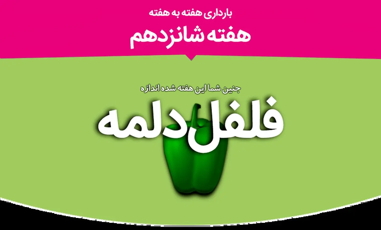 هفته شانزدهم بارداری