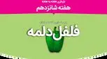 هفته شانزدهم بارداری