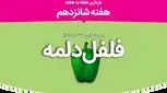 هفته شانزدهم بارداری