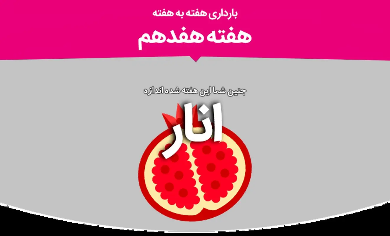 هفته هفدهم بارداری