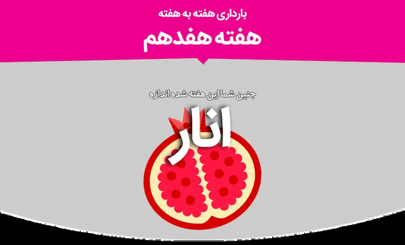 هفته هفدهم بارداری