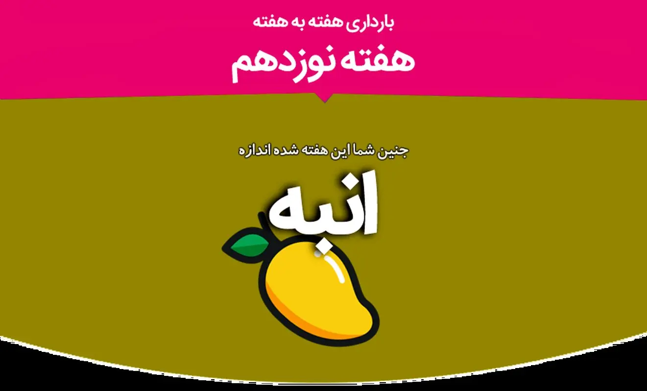 هفته نوزدهم بارداری