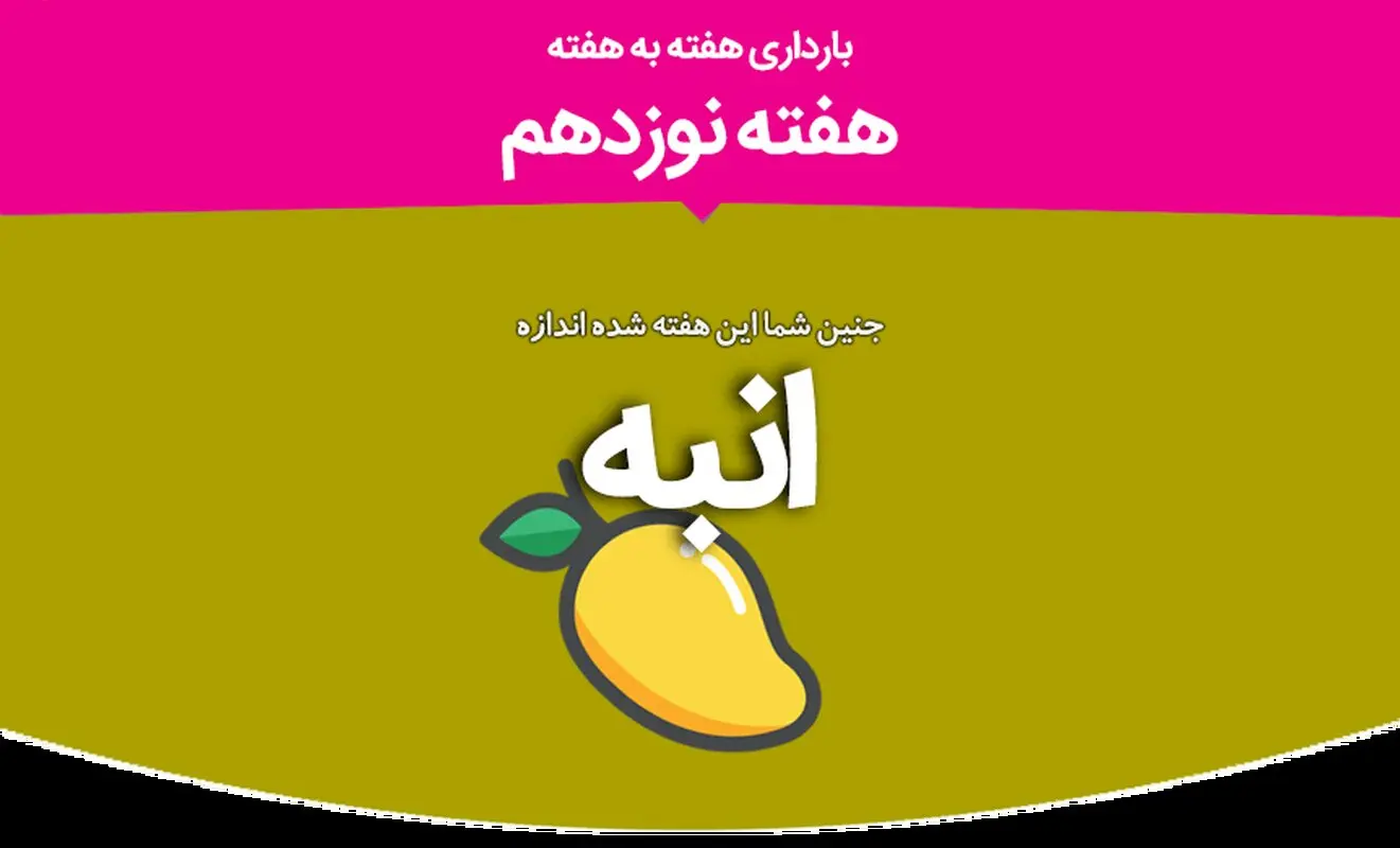 هفته نوزدهم بارداری