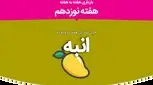 هفته نوزدهم بارداری
