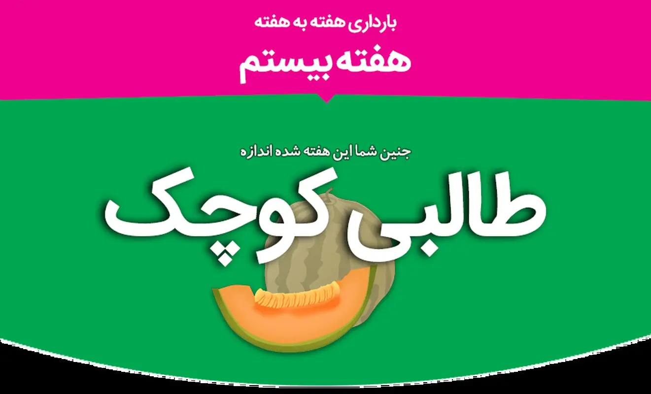 هفته بیستم بارداری