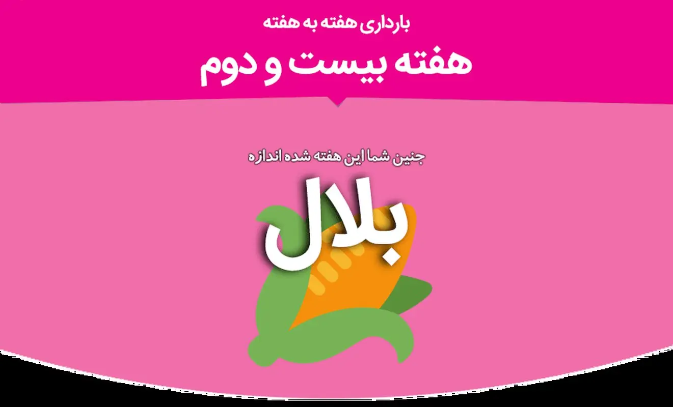 هفته بیست و دوم بارداری