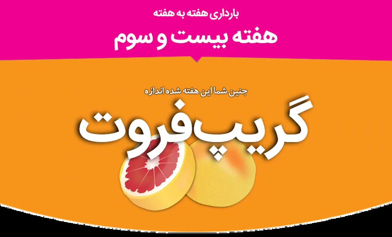 هفته بیست و سوم بارداری