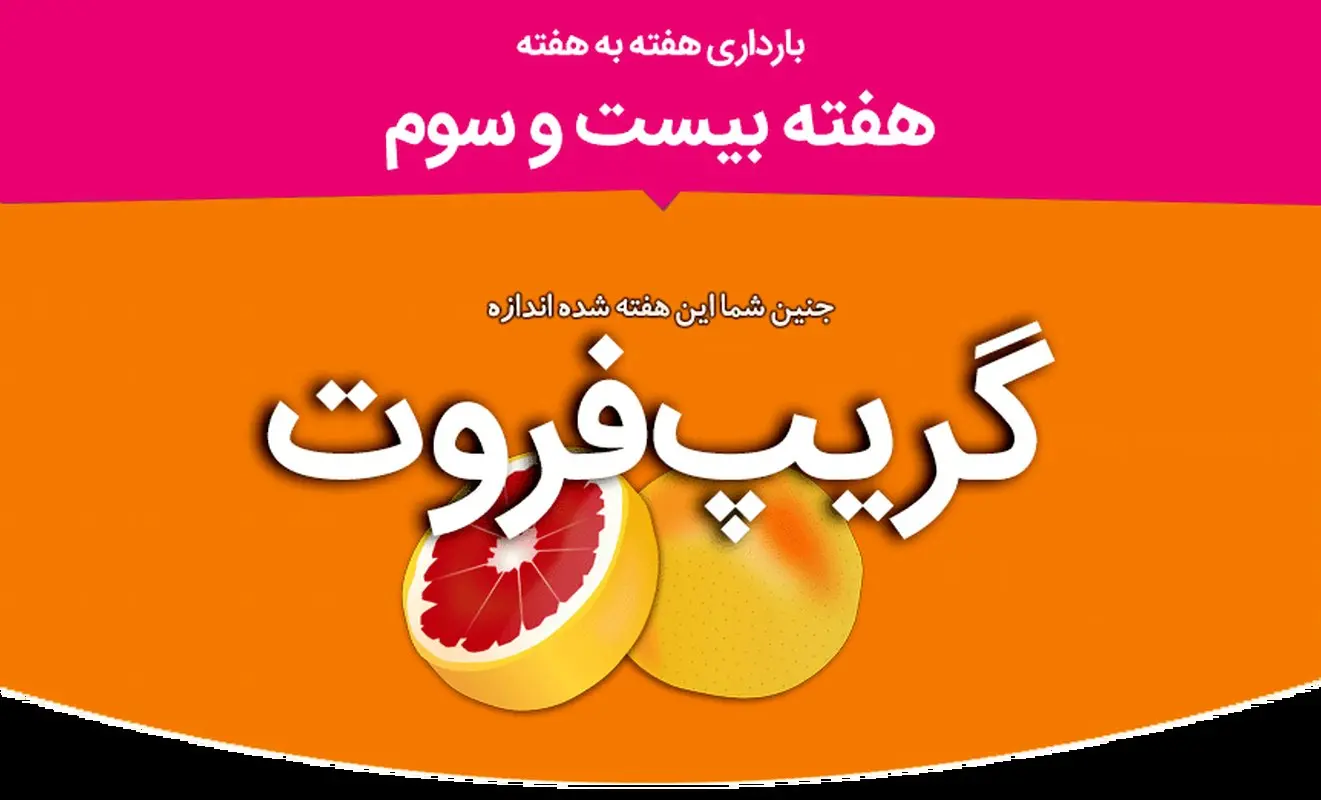 هفته بیست و سوم بارداری