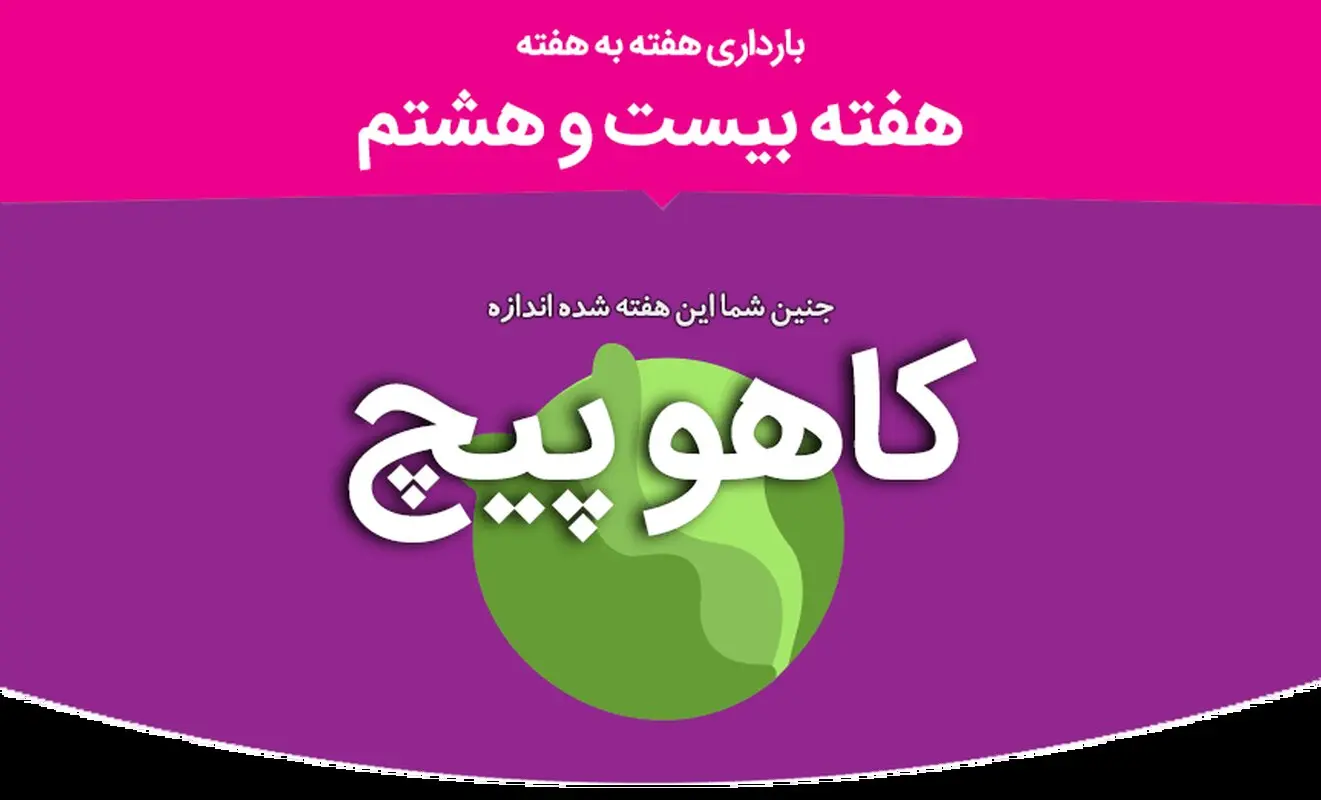 هفته بیست و هشتم بارداری