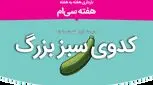 هفته سی‌ام بارداری