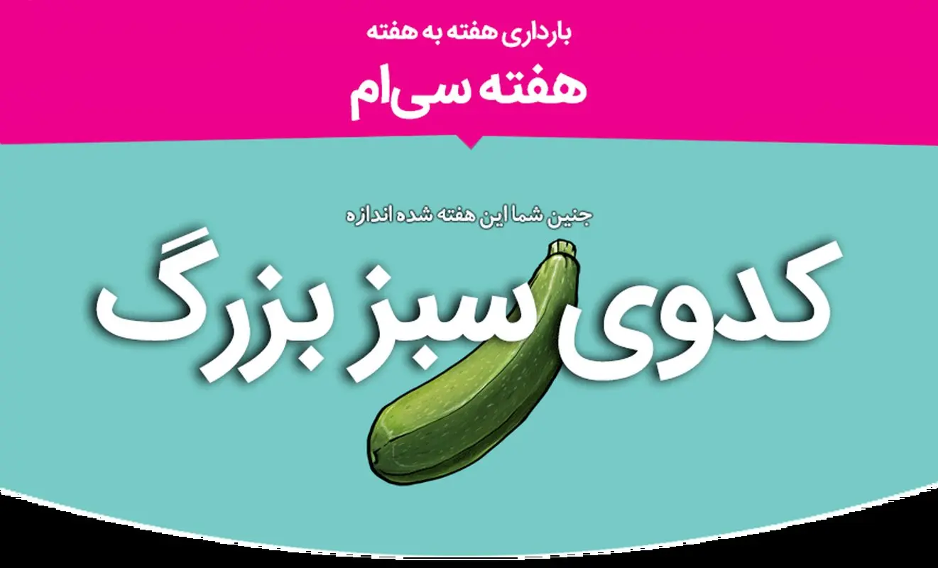 هفته سی‌ام بارداری