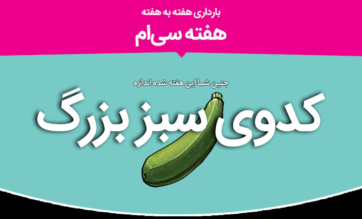 هفته سی‌ام بارداری