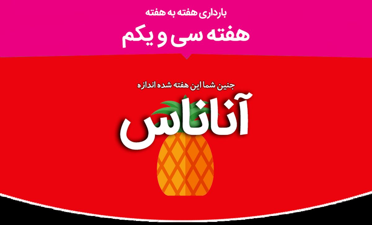 هفته سی و یکم بارداری