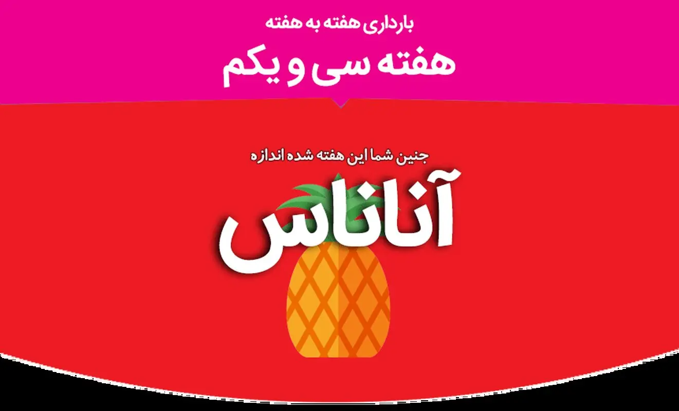 هفته سی و یکم بارداری