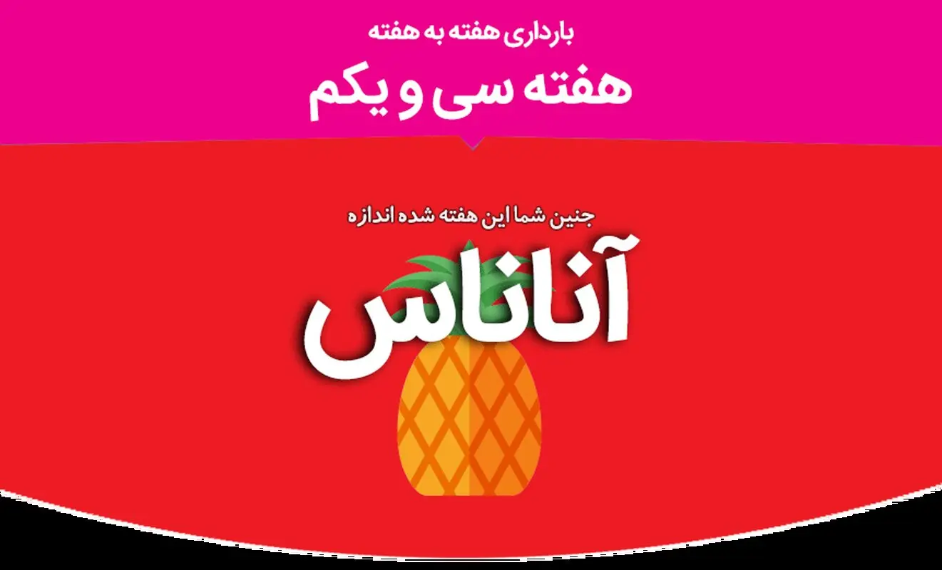 هفته سی و یکم بارداری