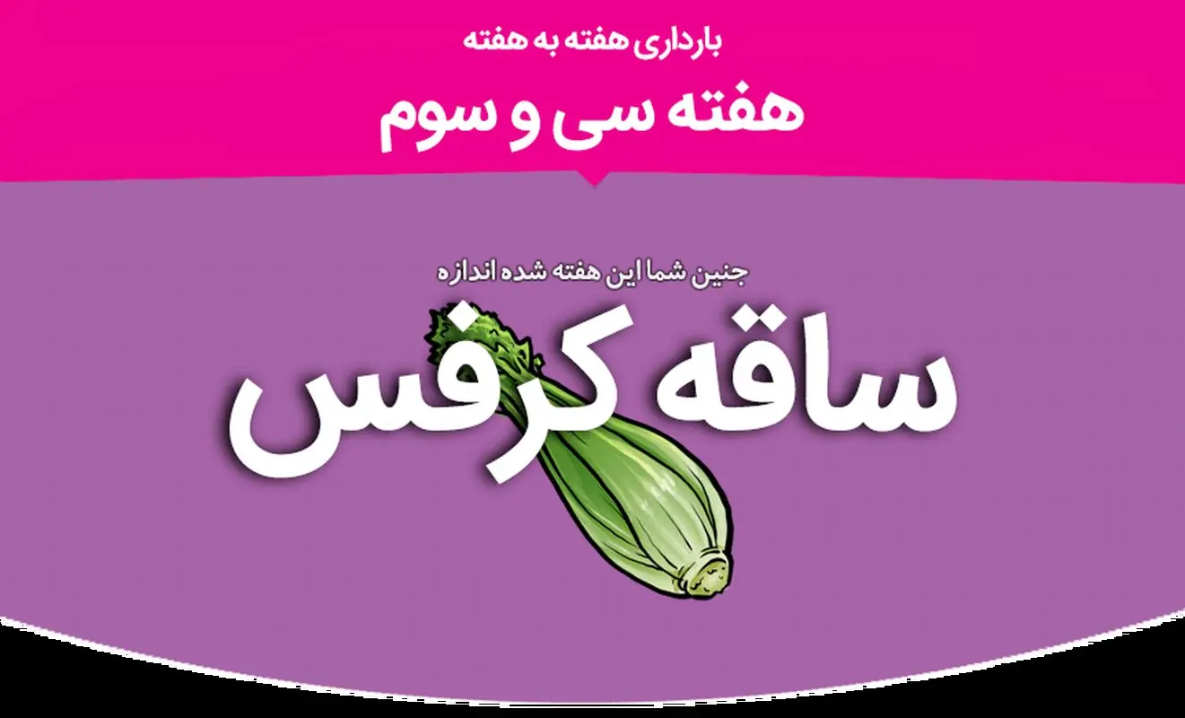 هفته سی و سوم بارداری