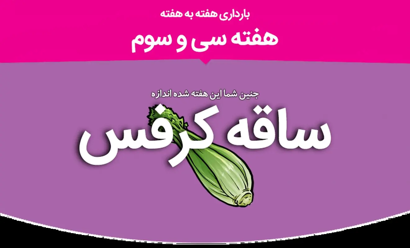 هفته سی و سوم بارداری
