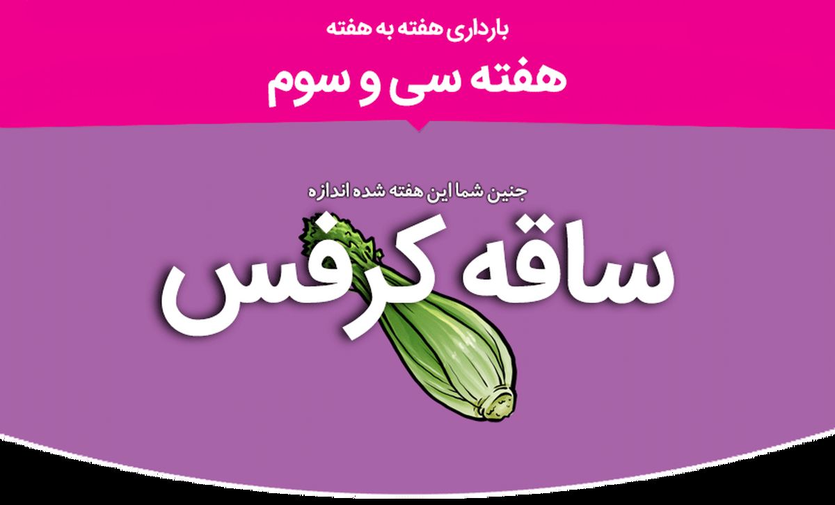 هفته سی و سوم بارداری