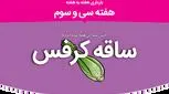 هفته سی و سوم بارداری
