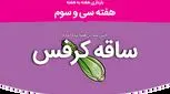 هفته سی و سوم بارداری