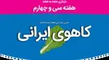 هفته سی و چهارم بارداری