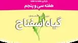 هفته سی و پنجم بارداری