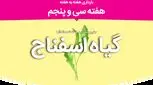 هفته سی و پنجم بارداری