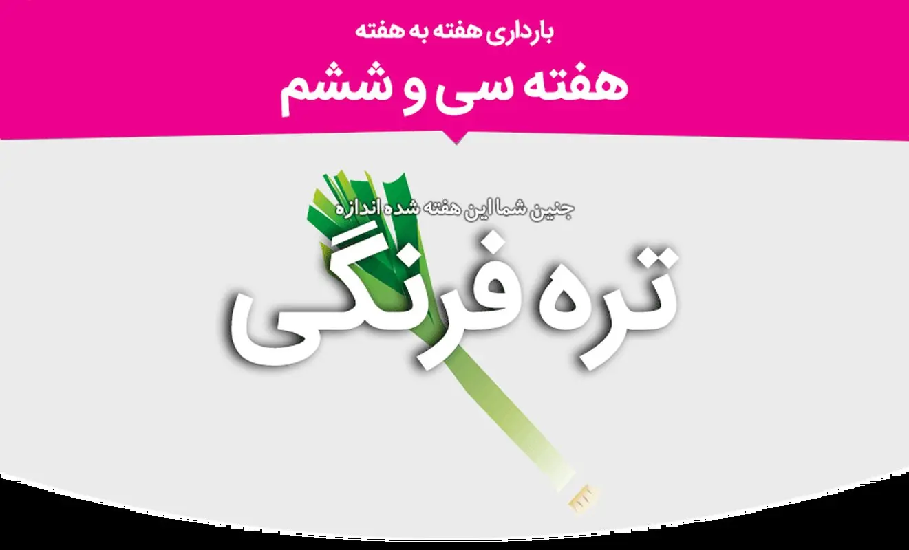 هفته سی و ششم بارداری