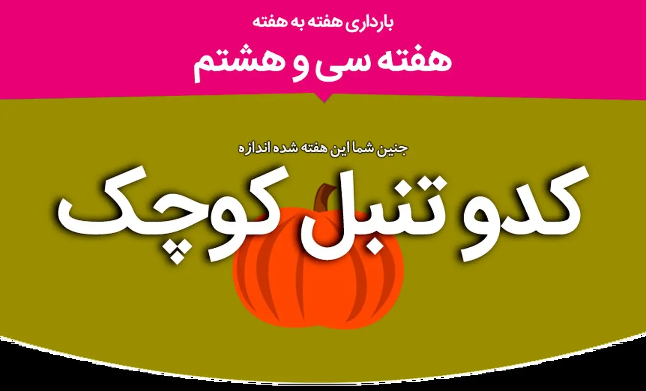 هفته سی و هشتم بارداری