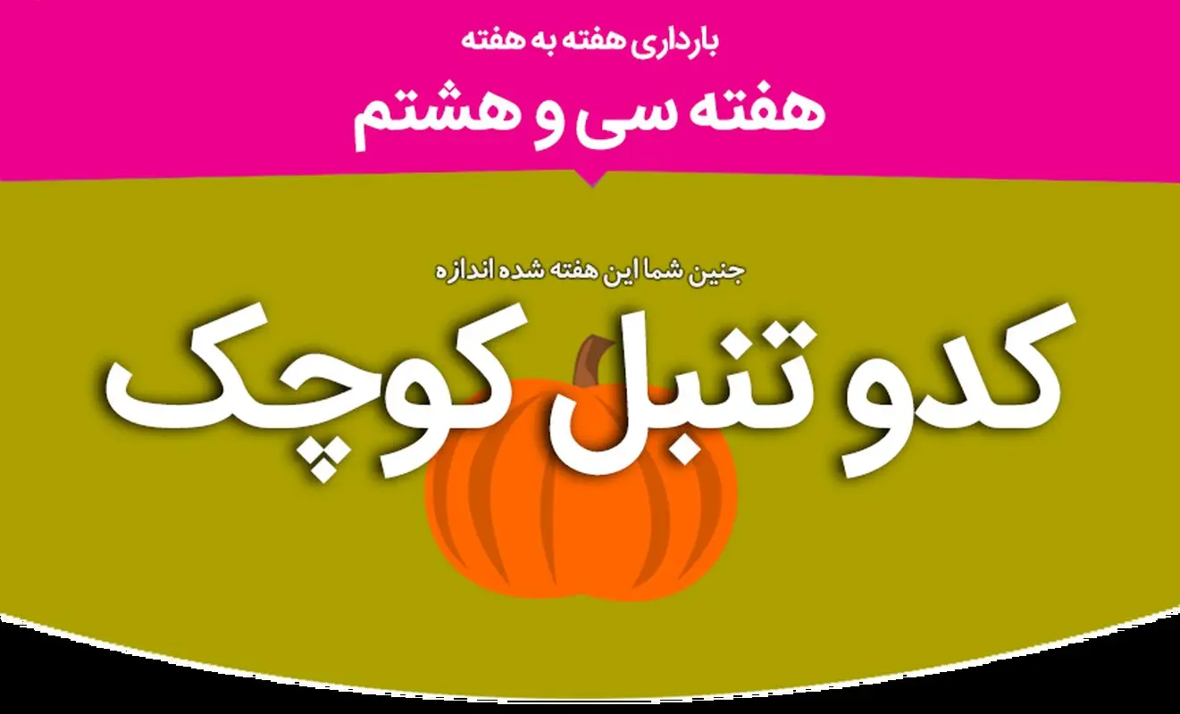 هفته سی و هشتم بارداری