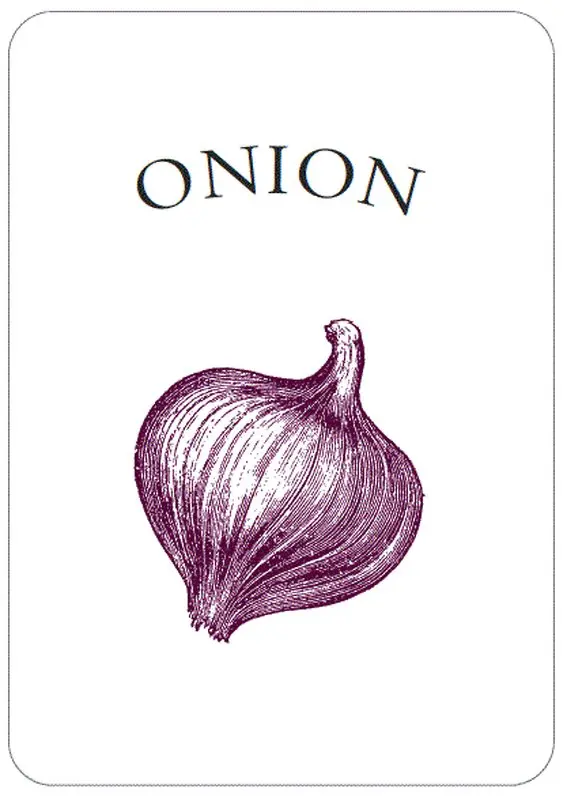 لوازم آشپزخانه به انگلیسی، آموزش در سه سوت!- قسمت دوم