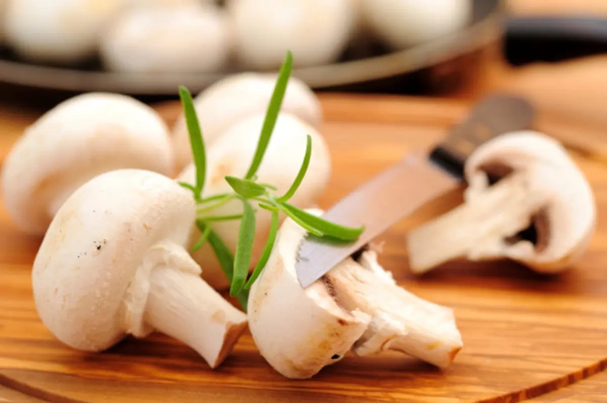 آنچه باید درباره مصرف قارچ کودکان بدانید