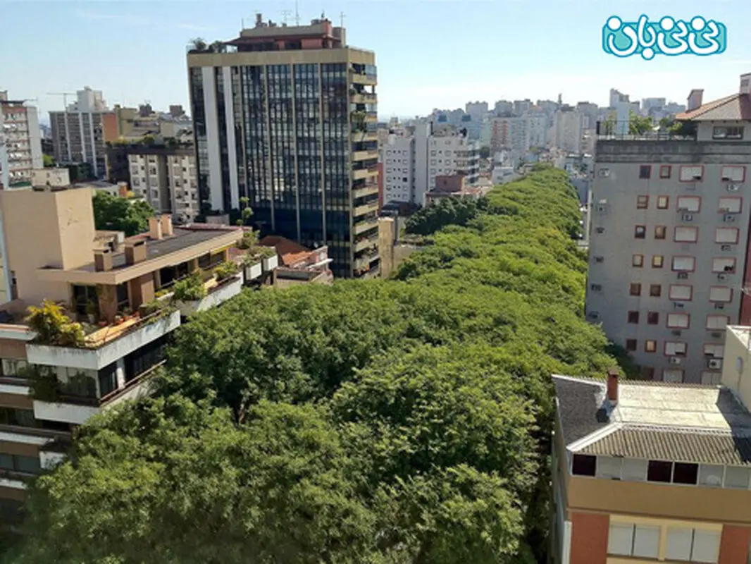 مسافرت رفتن با کودک، رویایی‌ترین تونل‌های جهان کدامند؟