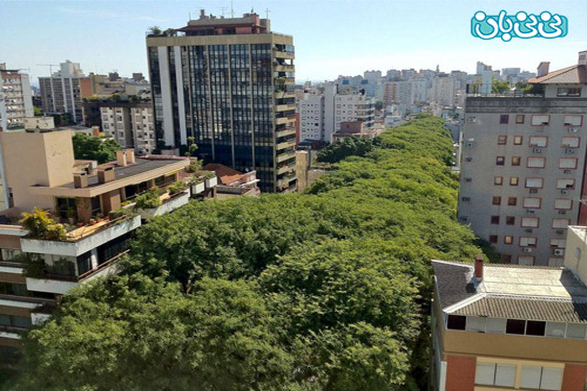 مسافرت رفتن با کودک، رویاییترین تونلهای جهان کدامند؟