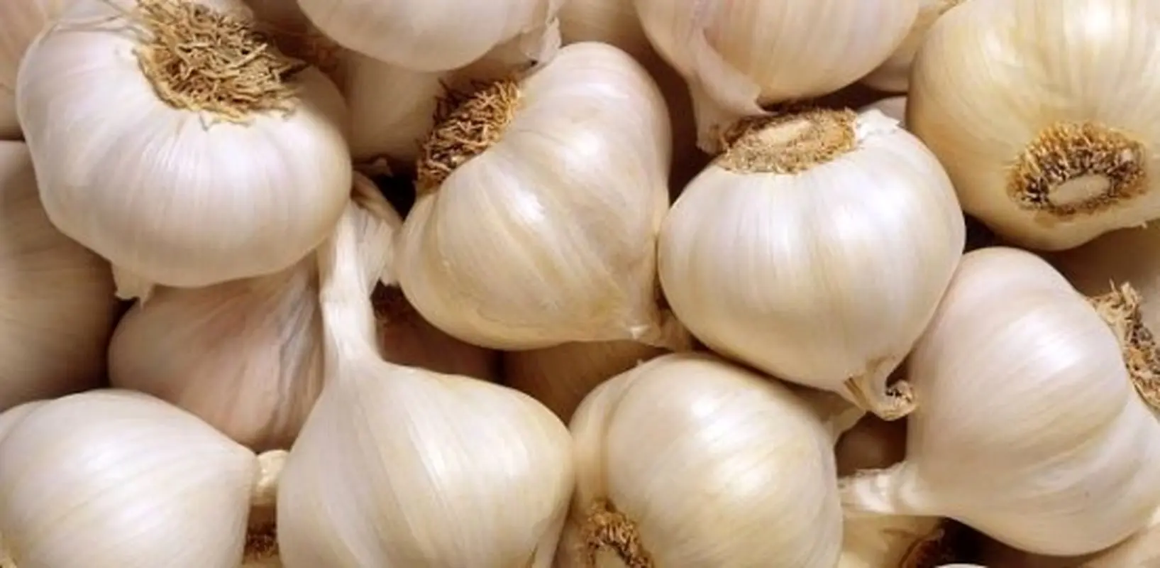 فواید سیر برای کودکان