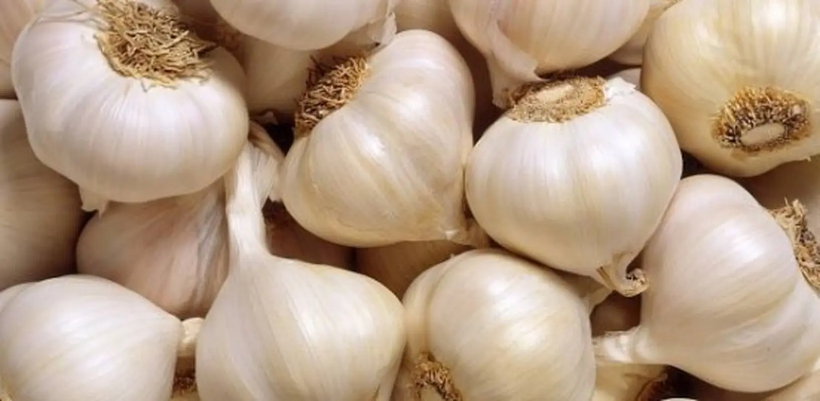 فواید سیر برای کودکان