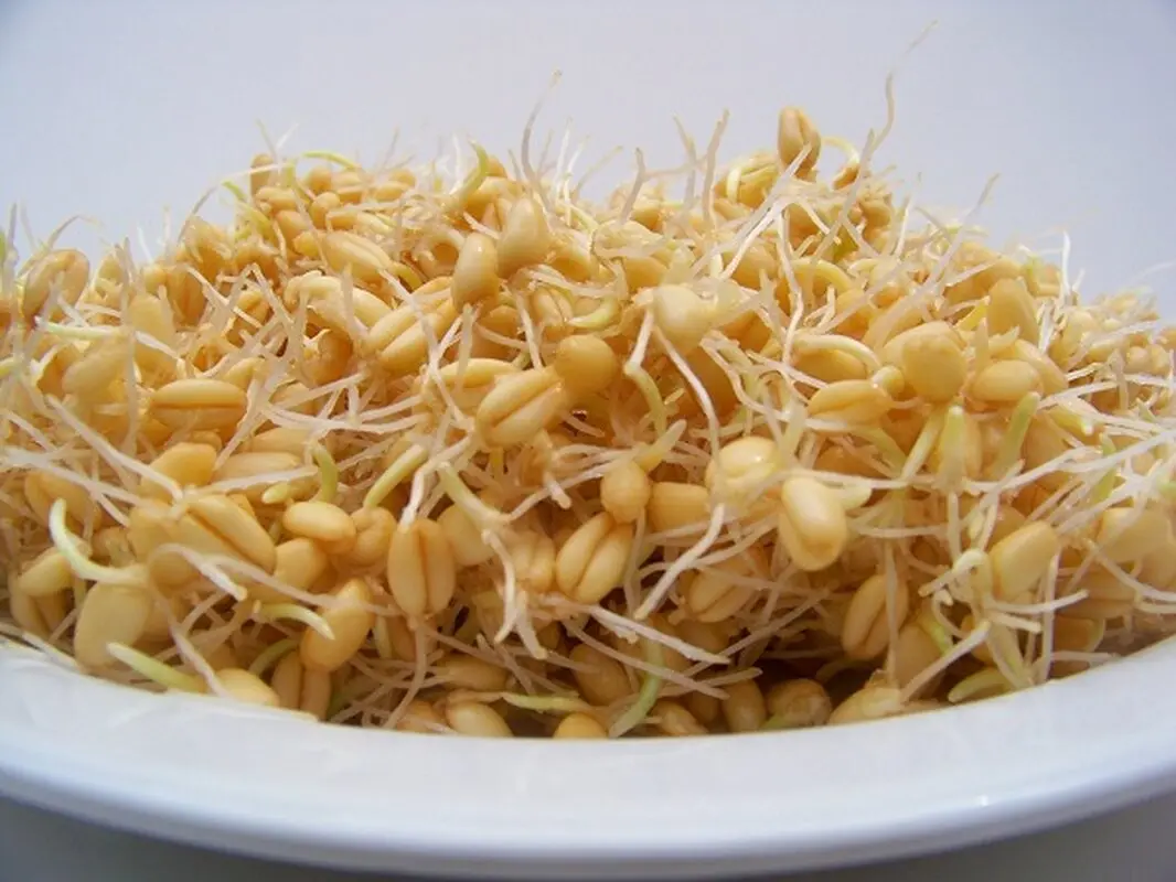 نحوه مصرف جوانه گندم، گارانتی پوست مادران